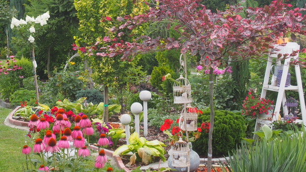 Ogródek Pełen Kwiatów