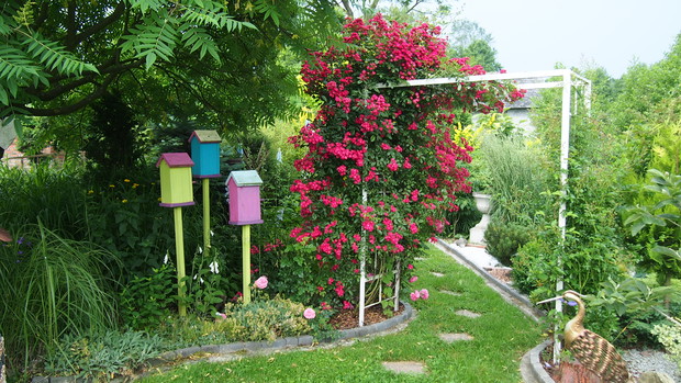 Ogródek Pełen Kwiatów