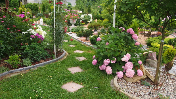 Ogródek Pełen Kwiatów