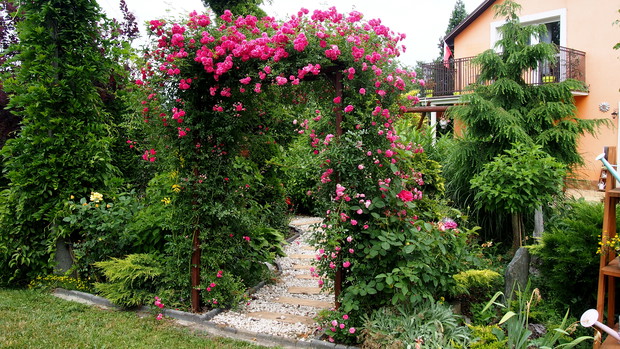 Ogródek Pełen Kwiatów