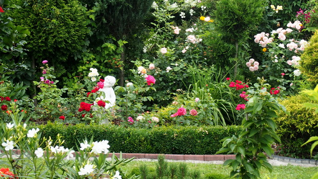 Ogródek Pełen Kwiatów