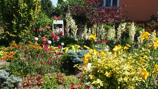 Ogródek Pełen Kwiatów