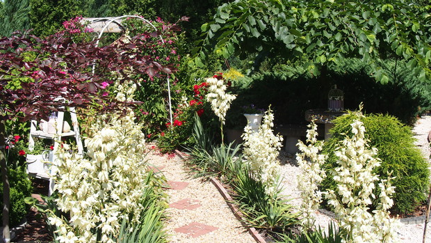 Ogródek Pełen Kwiatów