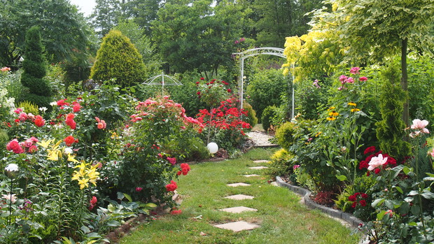 Ogródek Pełen Kwiatów