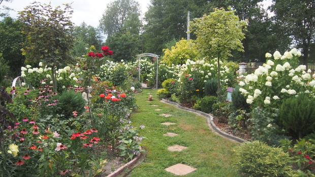 Ogródek Pełen Kwiatów