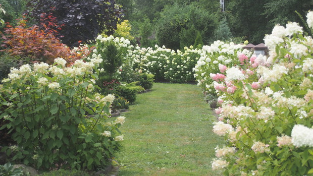 Ogródek Pełen Kwiatów