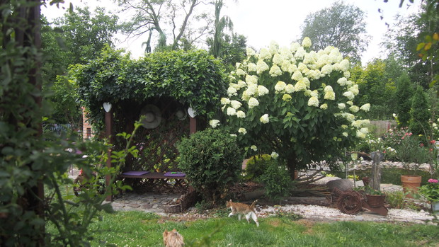 Ogródek Pełen Kwiatów