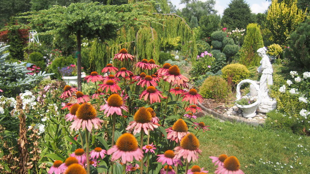 Ogródek Pełen Kwiatów