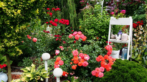 Ogródek Pełen Kwiatów