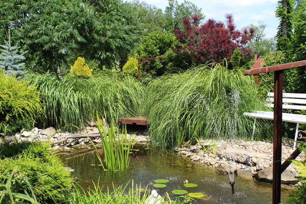 Ogródek Pełen Kwiatów