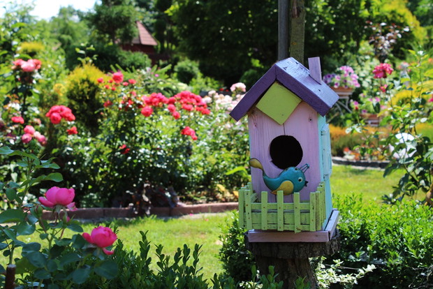 Ogródek Pełen Kwiatów