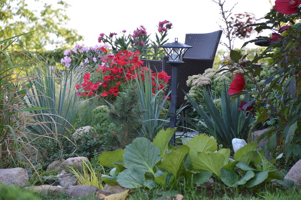 Ogrodnik Doskonały 2019