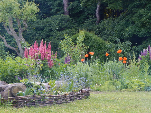 PIerwsze wiosenne BUM!