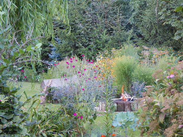 Płonie ognisko w lesie...