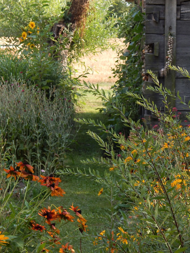 Ścieżka przy spichrzu