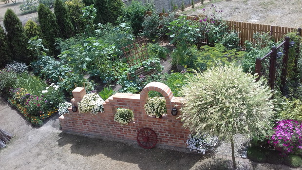 Widok z góry na warzywnik