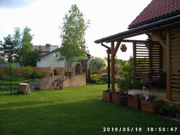 Zielony trawnik przed suszą