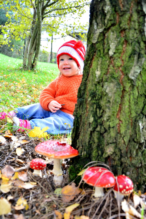 A w ogrodzie za domem... muchomorki!