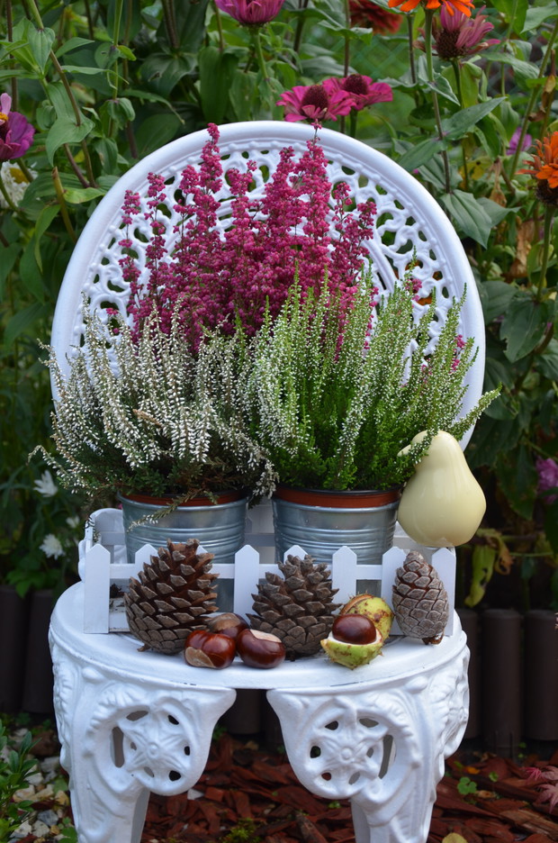 Akcent dekoracji w ogrodzie