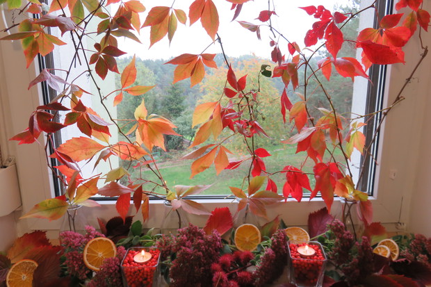 Aranżacja okna kuchennego