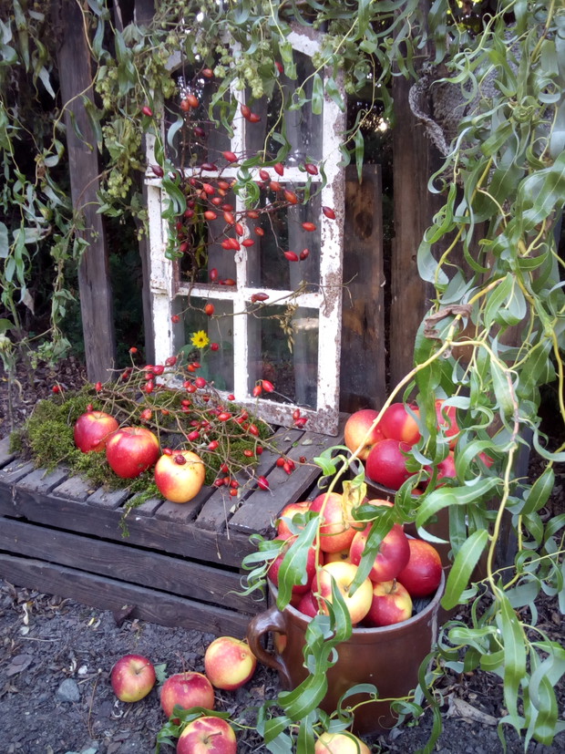 Dekoracja z przedmiotami z odzysku.