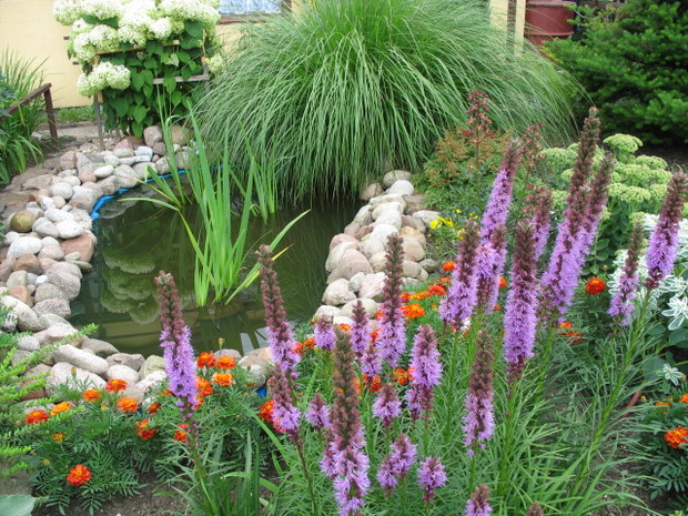 Dobry mikroklimat nad oczkiem