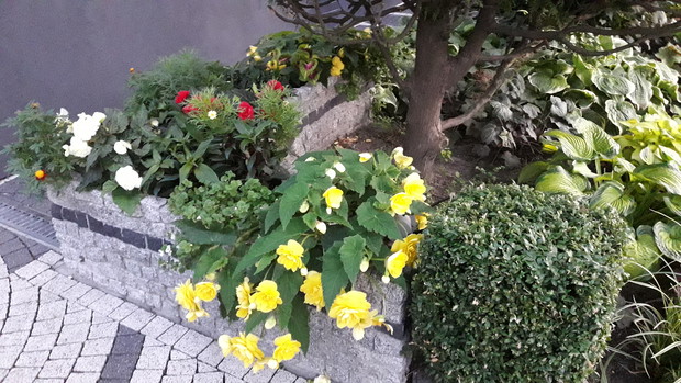 Donica w innej odsłonie