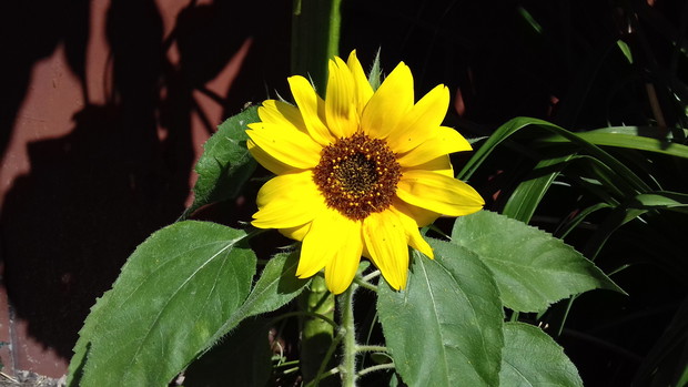 ...ja też tutaj jestem,