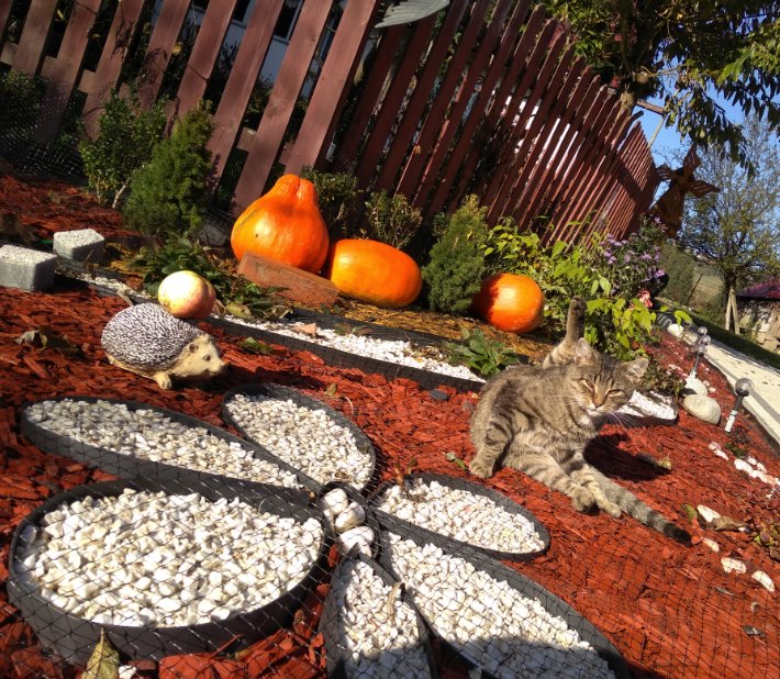 Jesienne dekoracje z Fiskars