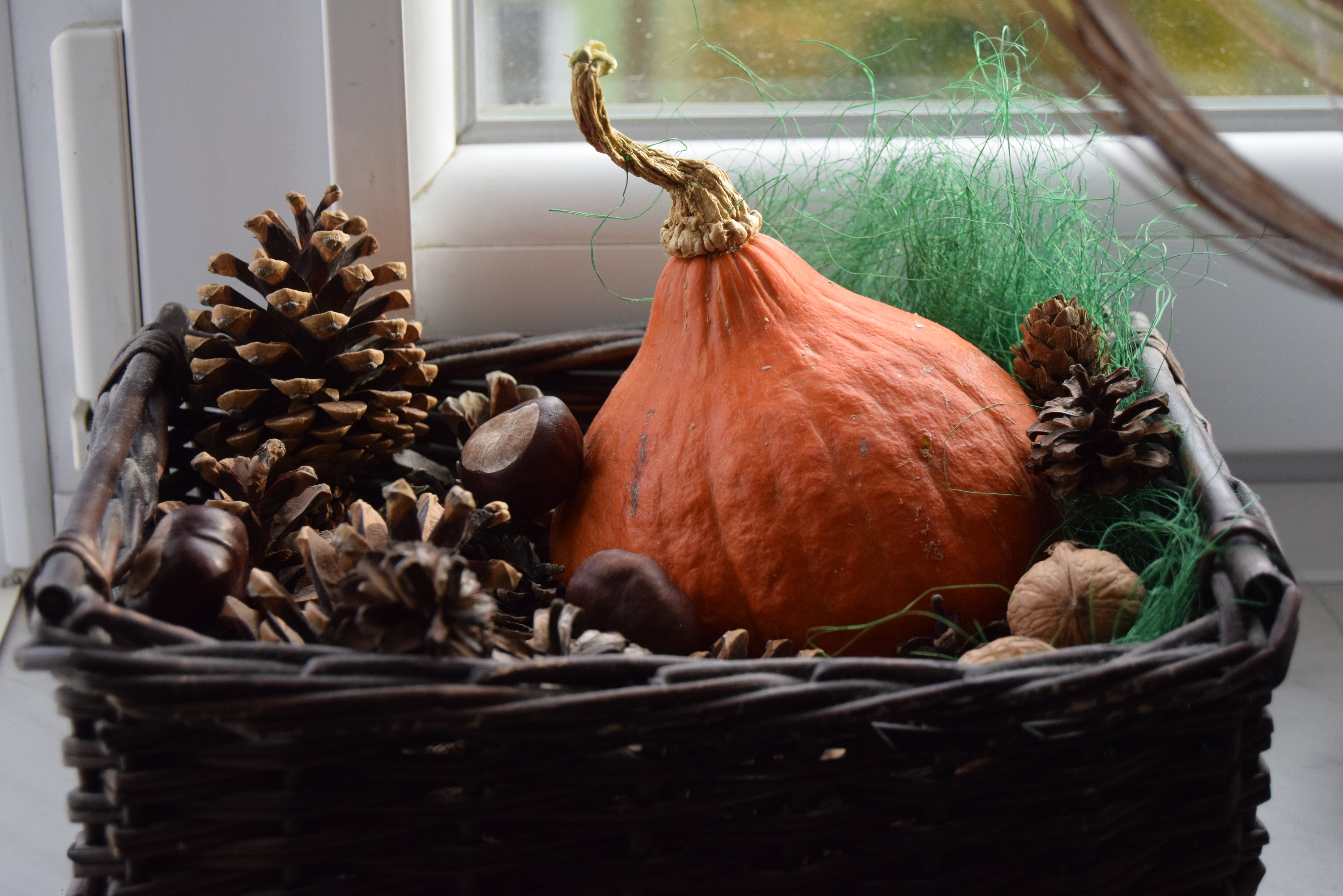 Jesienne dekoracje z Fiskars