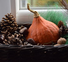 Jesienne dekoracje z Fiskars