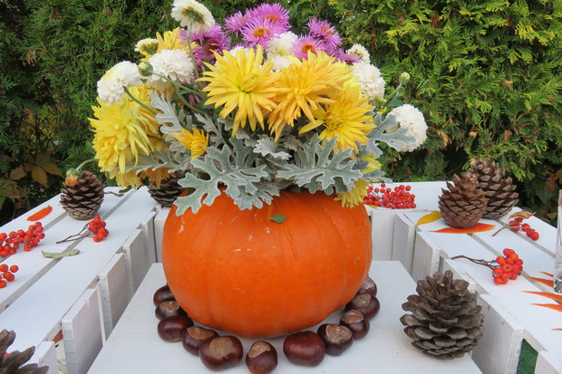 Jesienne kwiaty w wazonie z dyni