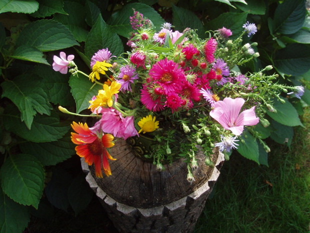 kolorowy jesienny bukiet