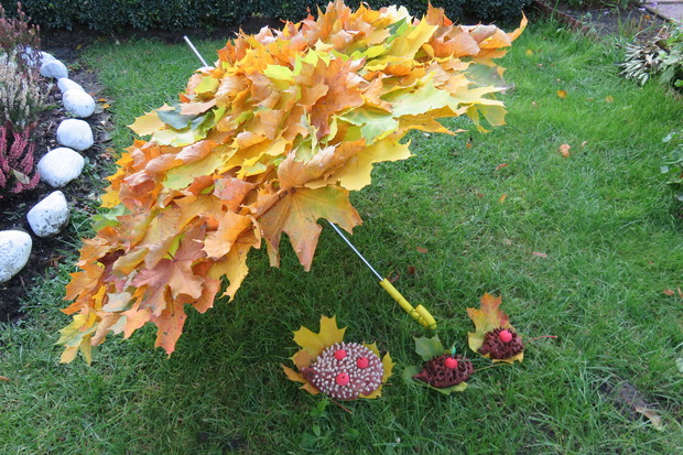 Parasol w jesiennej odsłonie