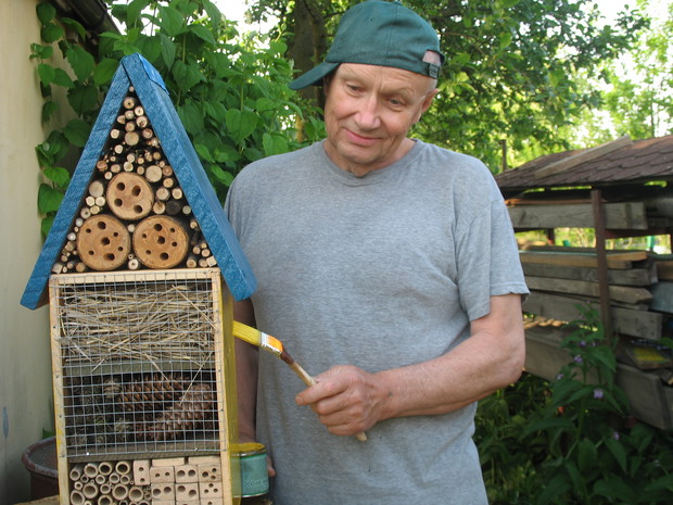 Powstaje domek dla owadów