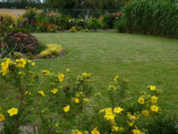 Sierpień w ogrodzie