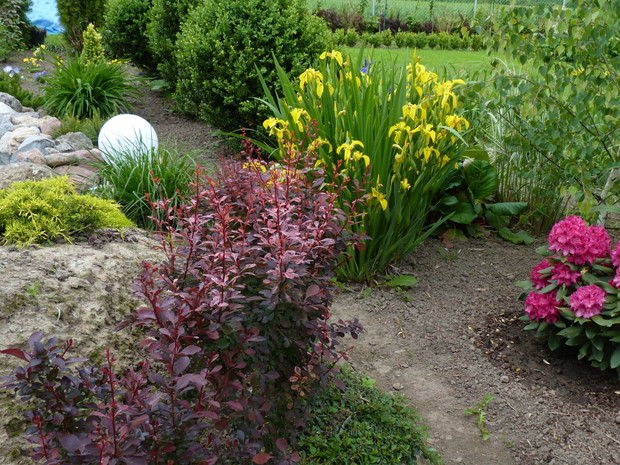 Skarpa za oczkiem wiosną