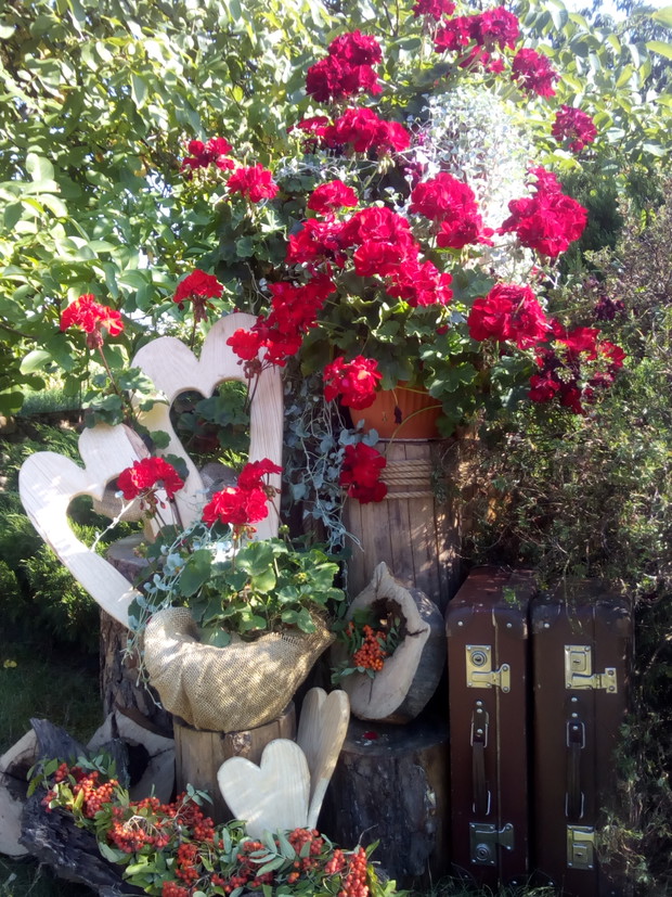 W czerwonym kolorze.