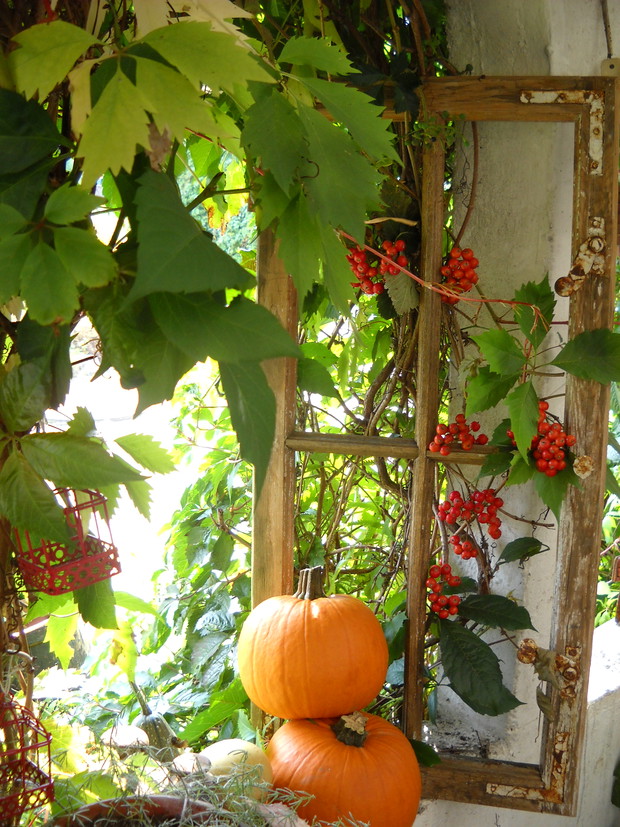 W drewnianej ramie okiennej.