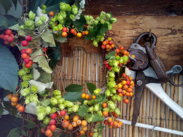 Wianek z pędów chmielu i jarzębu.