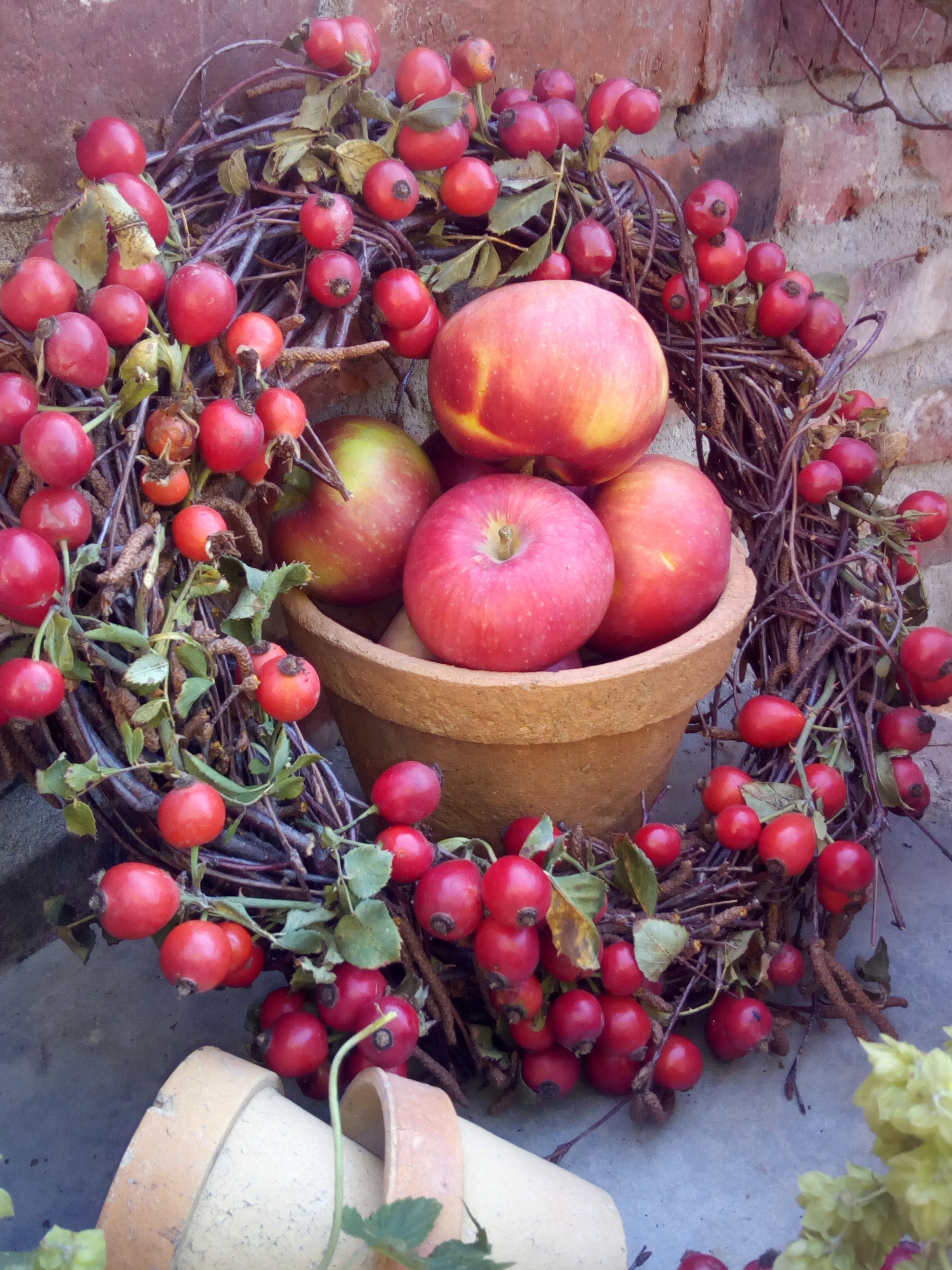 Wianek zwitek brzozowych udekorowany owocami dzikiej róży.