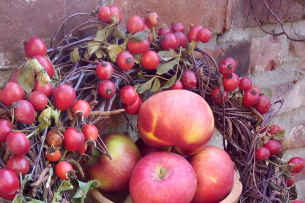 Wianek zwitek brzozowych udekorowany owocami dzikiej róży.