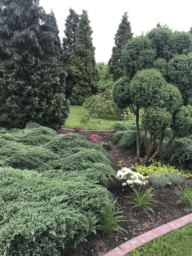 widok z odległości