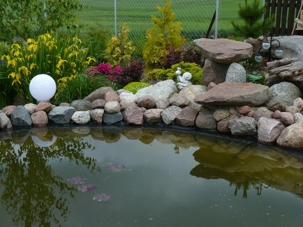 Wiosennie przy oczku