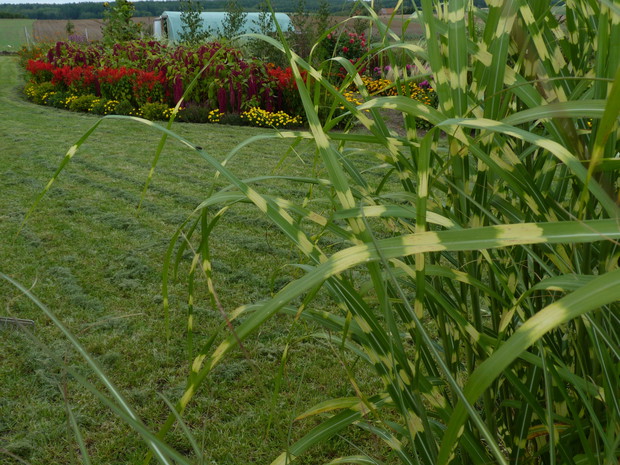 Wrzesień w ogrodzie