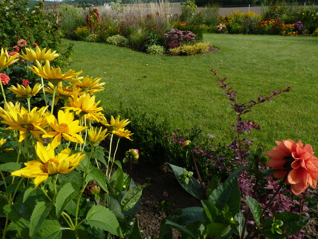 Wrzesień w ogrodzie