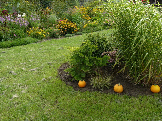 Wrzesień w ogrodzie