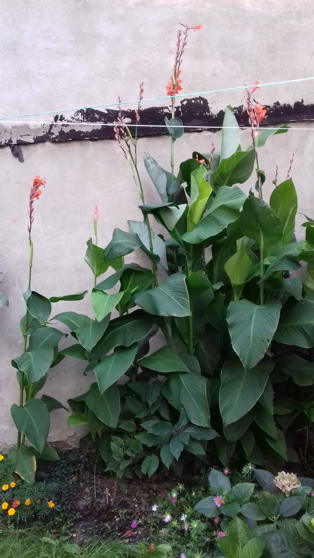 wrześniowy odpoczynek 5