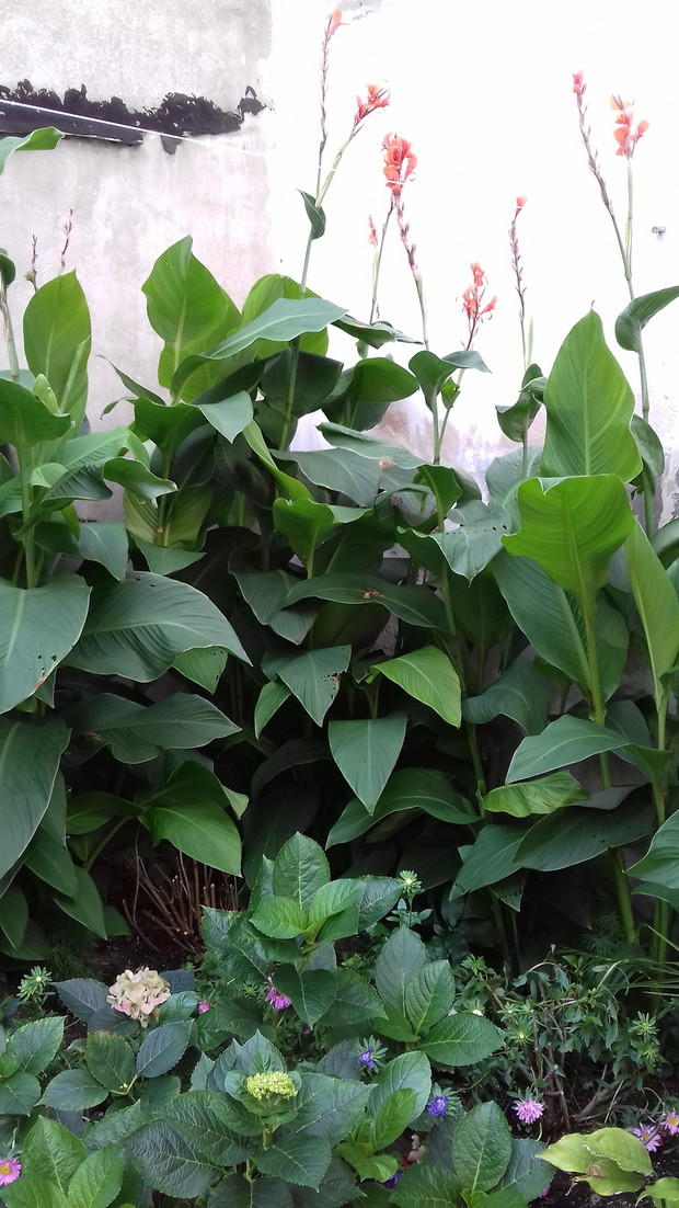 wrześniowy odpoczynek 6