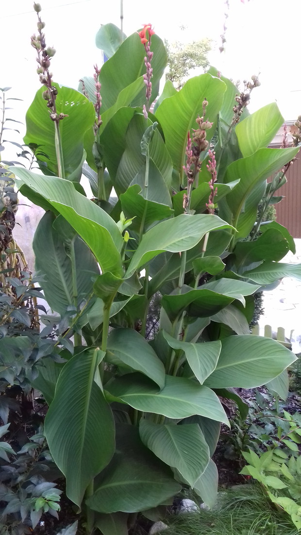 wrześniowy odpoczynek 7